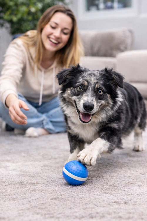 Smart Interactive Dog Toy