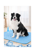 Dog Cooling Mat