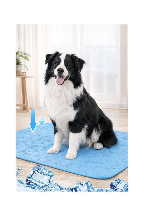 Dog Cooling Mat